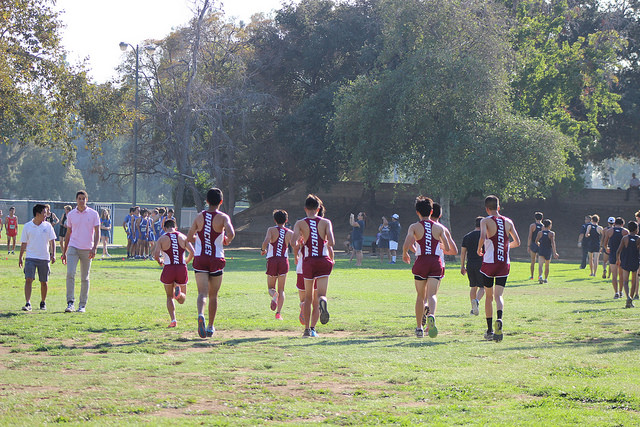Overview of Co-ed Cross Country