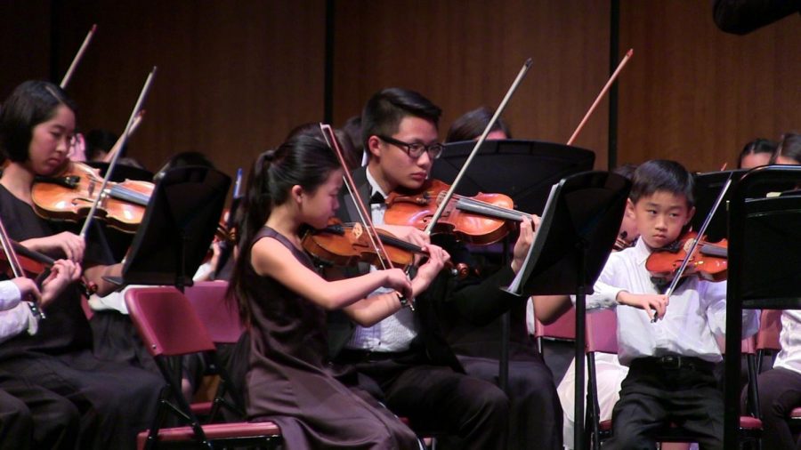 Arcadia Musicians Side-by-Side in Concert