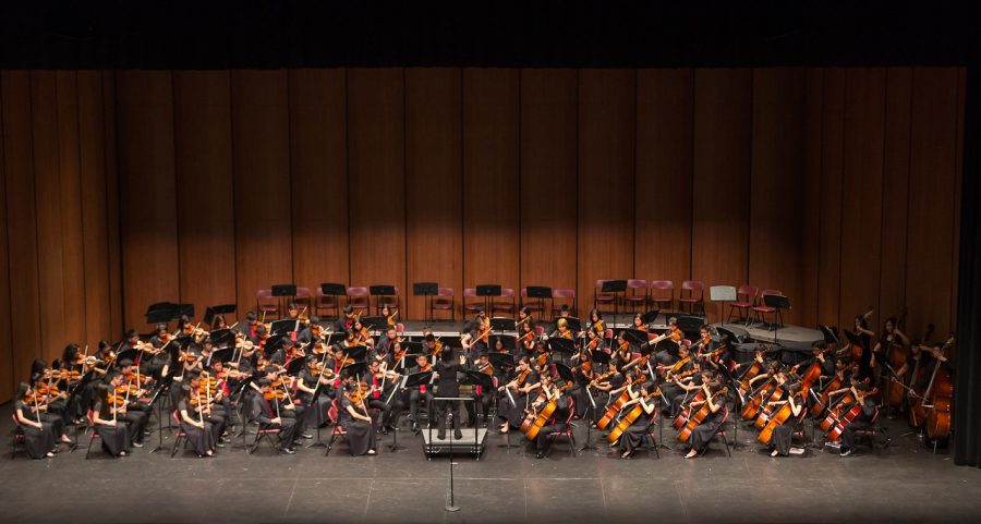 Orchestra Vertical Concert