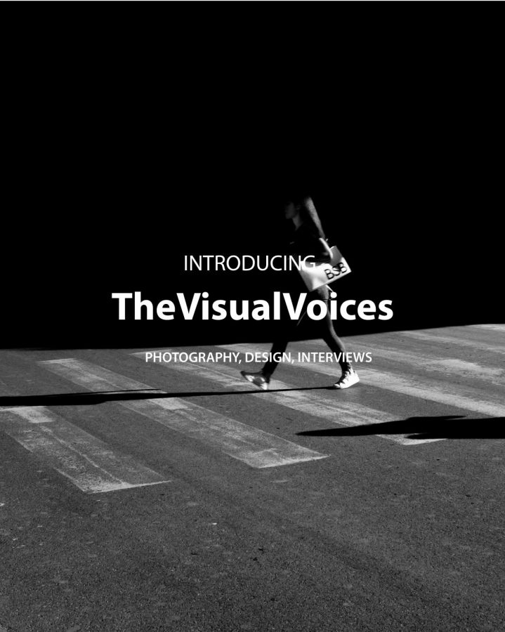 The Visual Voices
