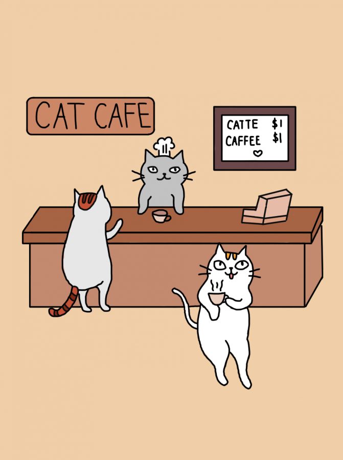 Animal cafes