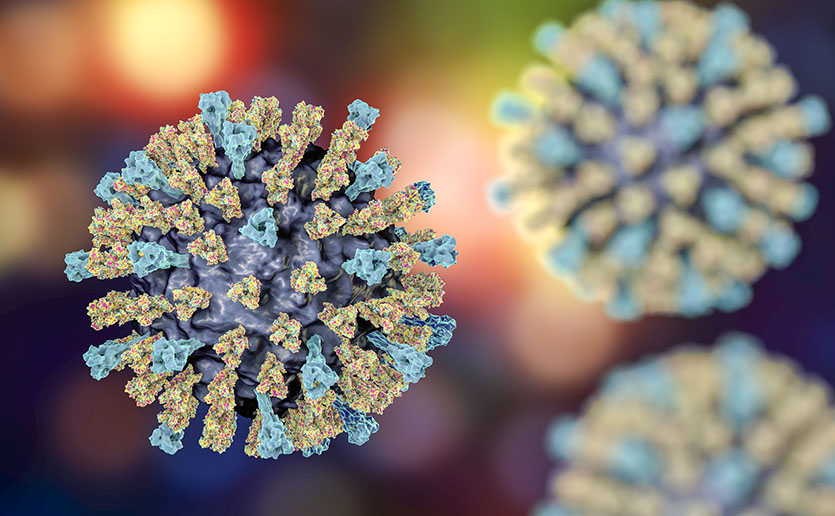 Measles virus. 3D illustration showing structure of measles virus with surface glycoprotein spikes heamagglutinin-neuraminidase and fusion protein