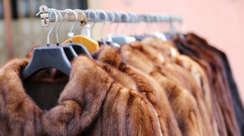 California Bans The Sale Of Fur Products