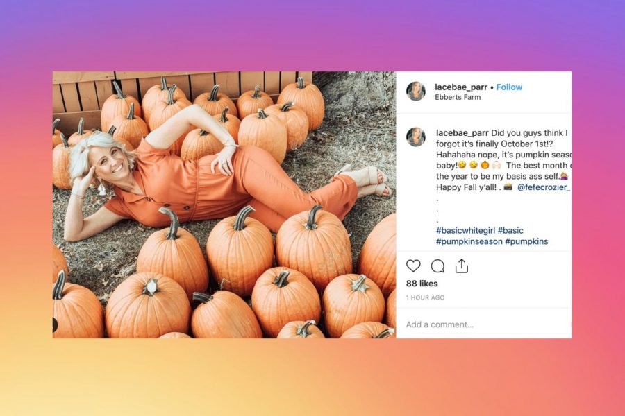 The Hype Behind Pumpkin Patches
