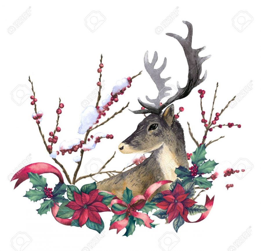 Reindeer and christmas decoration hand drawn with watercolor