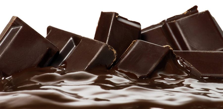 Chocolate: The Newest Endangered Species