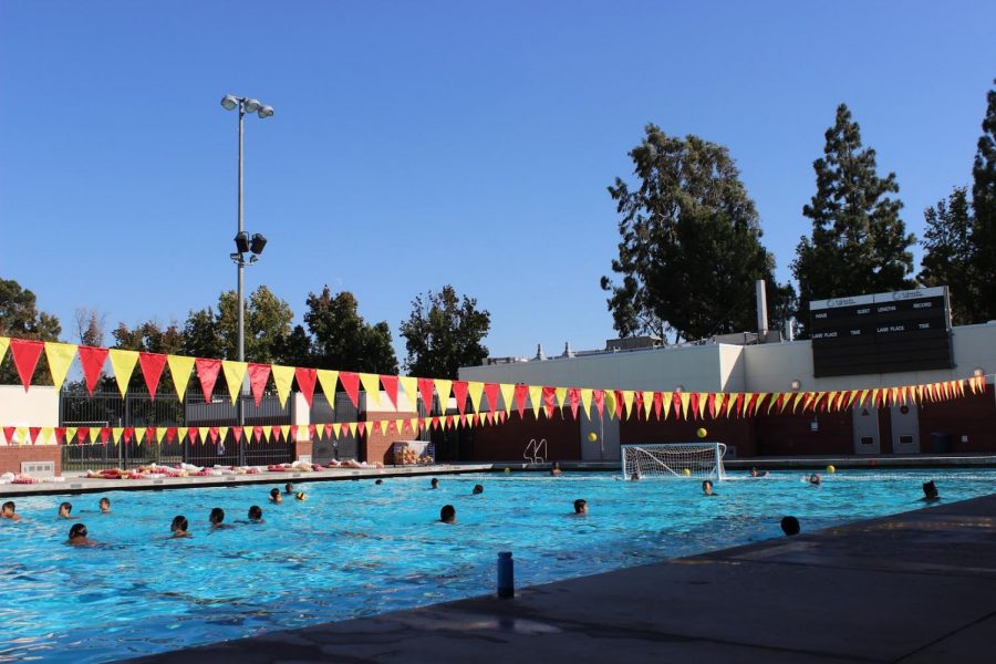 A Day With The AHS Water Polo Teams