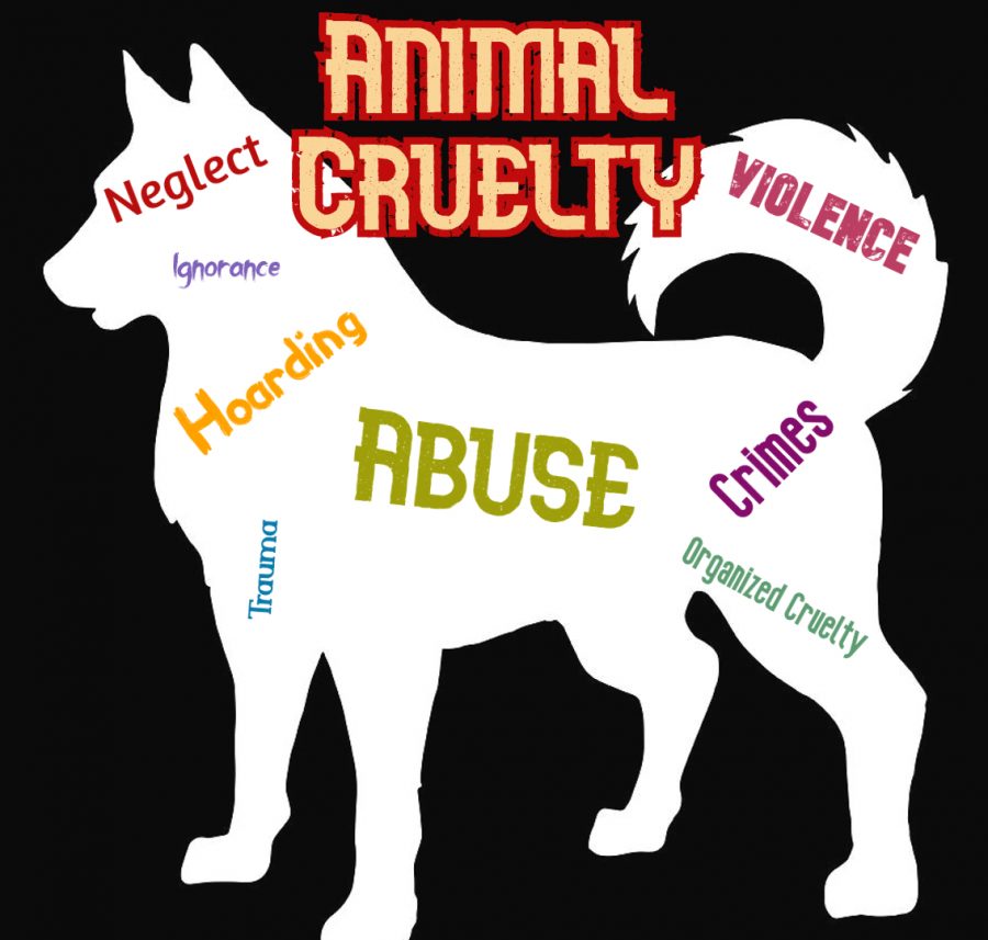 Animal Cruelty Needs to Stop