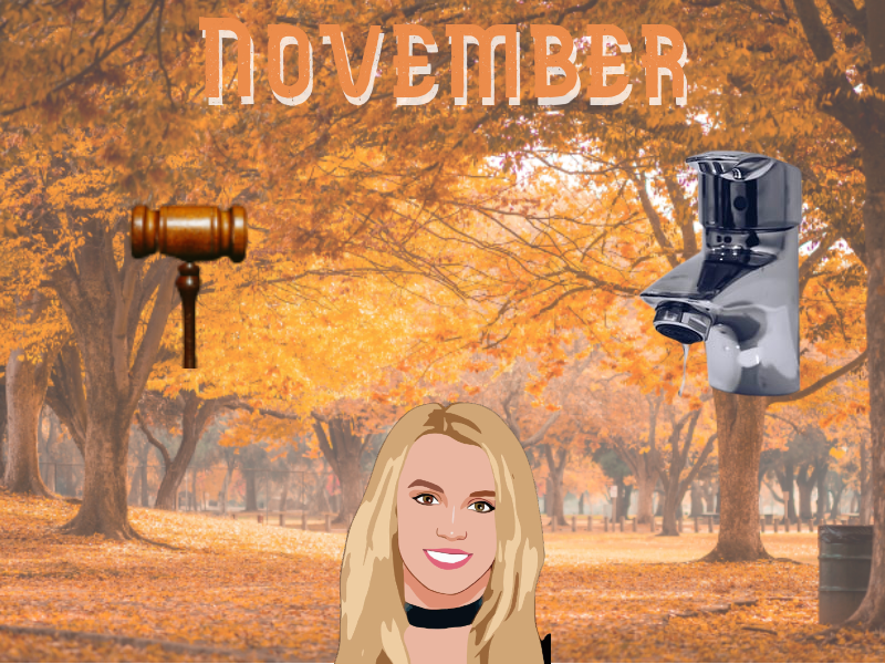 Top 5 News Stories of November