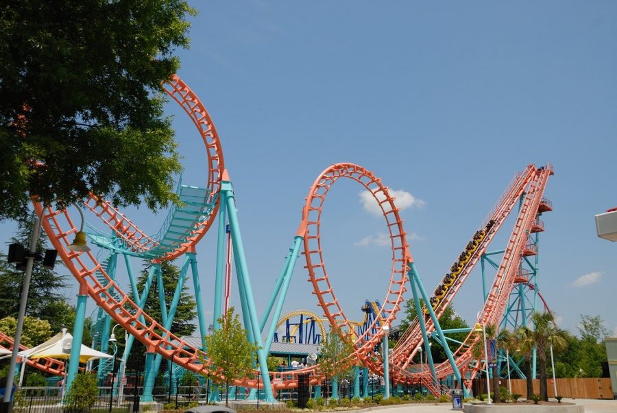 Science Behind the Love of Rollercoasters