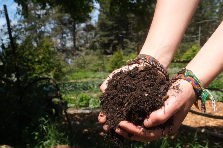 Californias New Compost Law