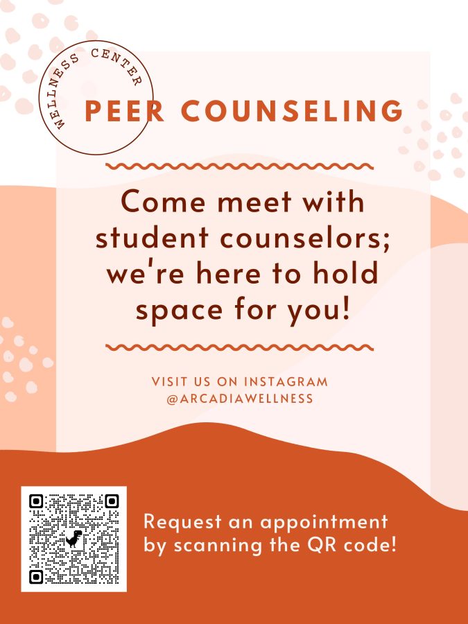 Peer Counseling at AHS
