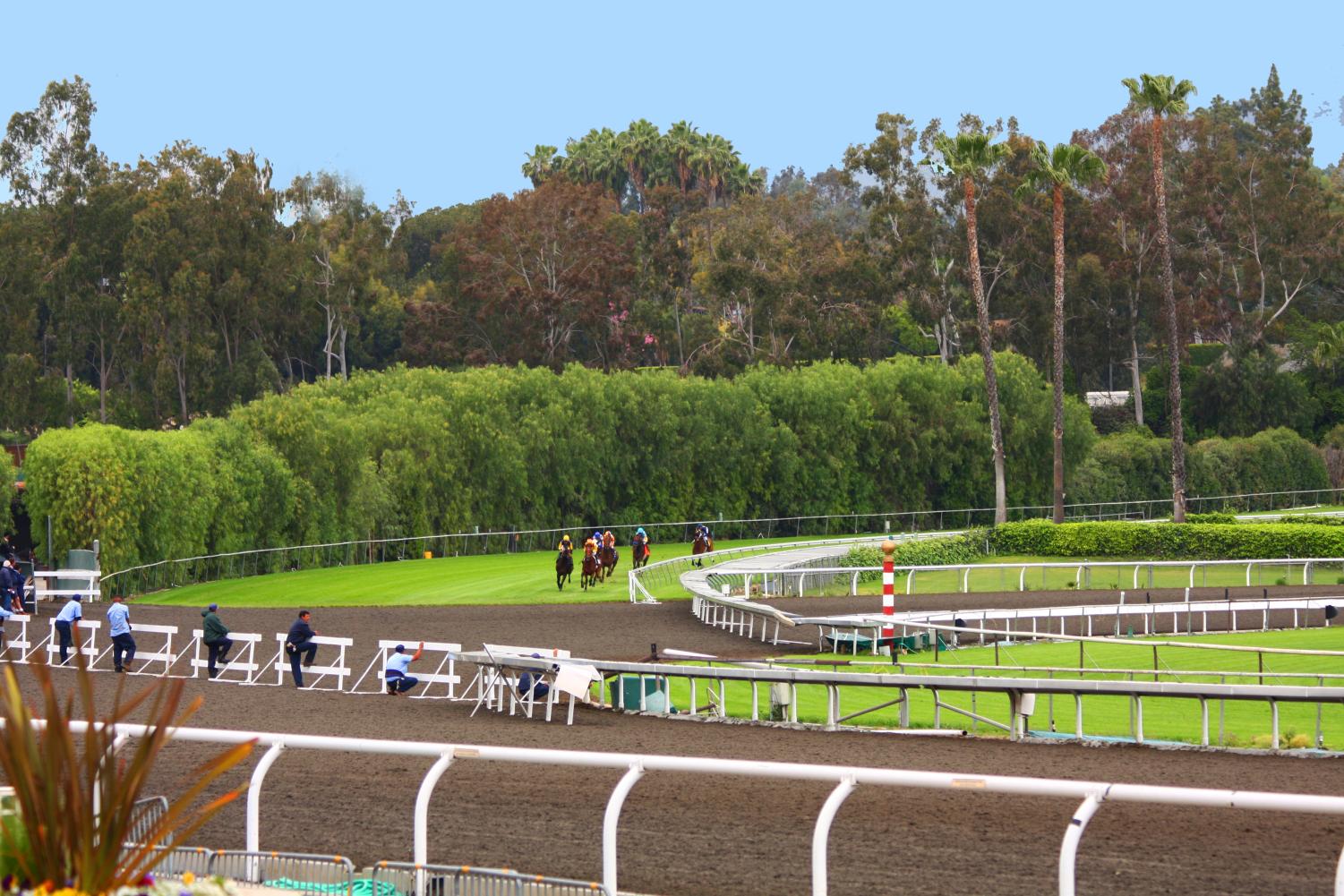 Corgi racing: Which fluffy pup will be champ at Santa Anita?