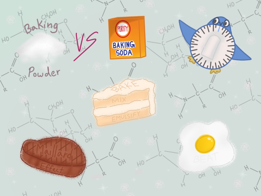 The Science Behind Sweet Treats