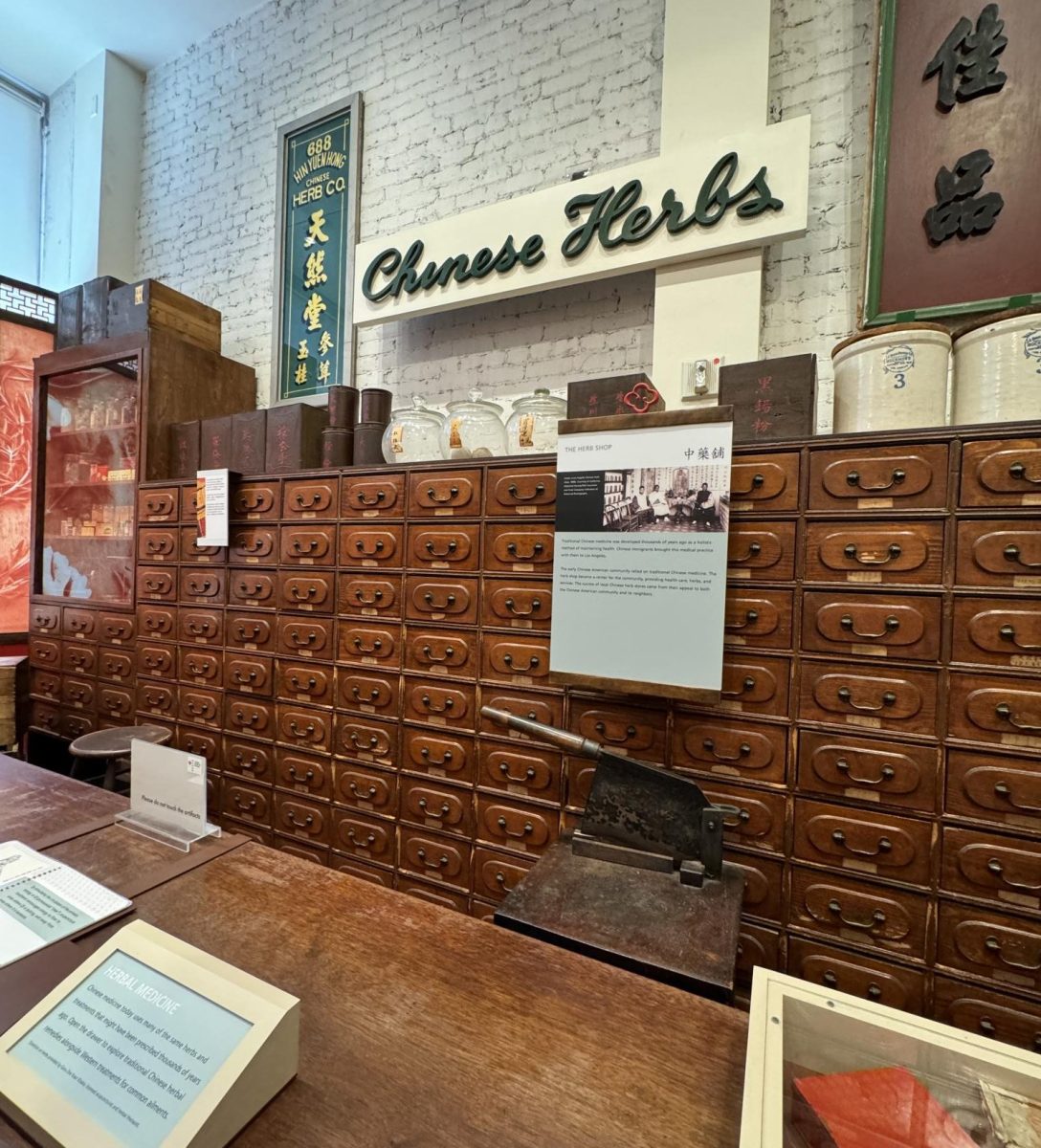 A fascinating room with an old-fashioned Chinese general store containing all sorts of herbs covering the walls from top to bottom, alongside infographics providing information about the history of traditional Chinese medicine.