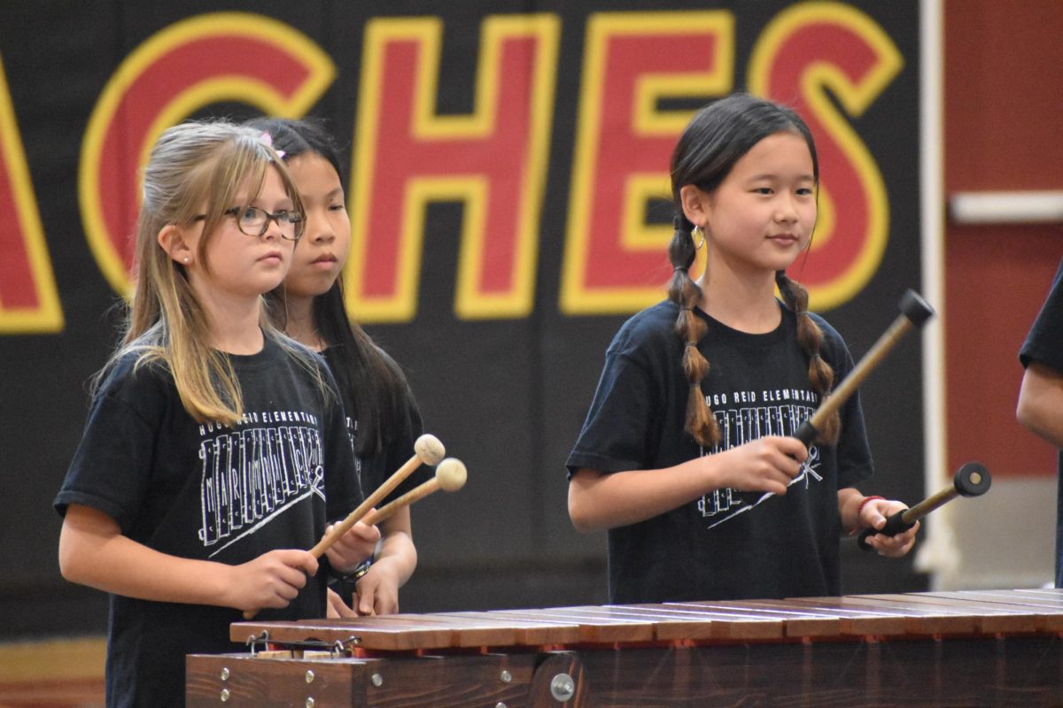 AUSD Schools Shine Onstage At The Annual Spring Show
