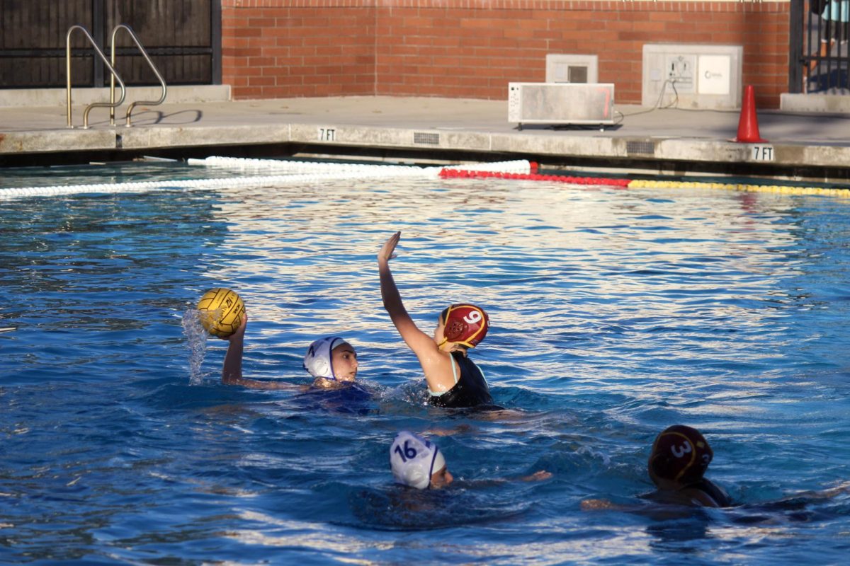 AHS Girls Varsity Water Polo Outlasts Burbank