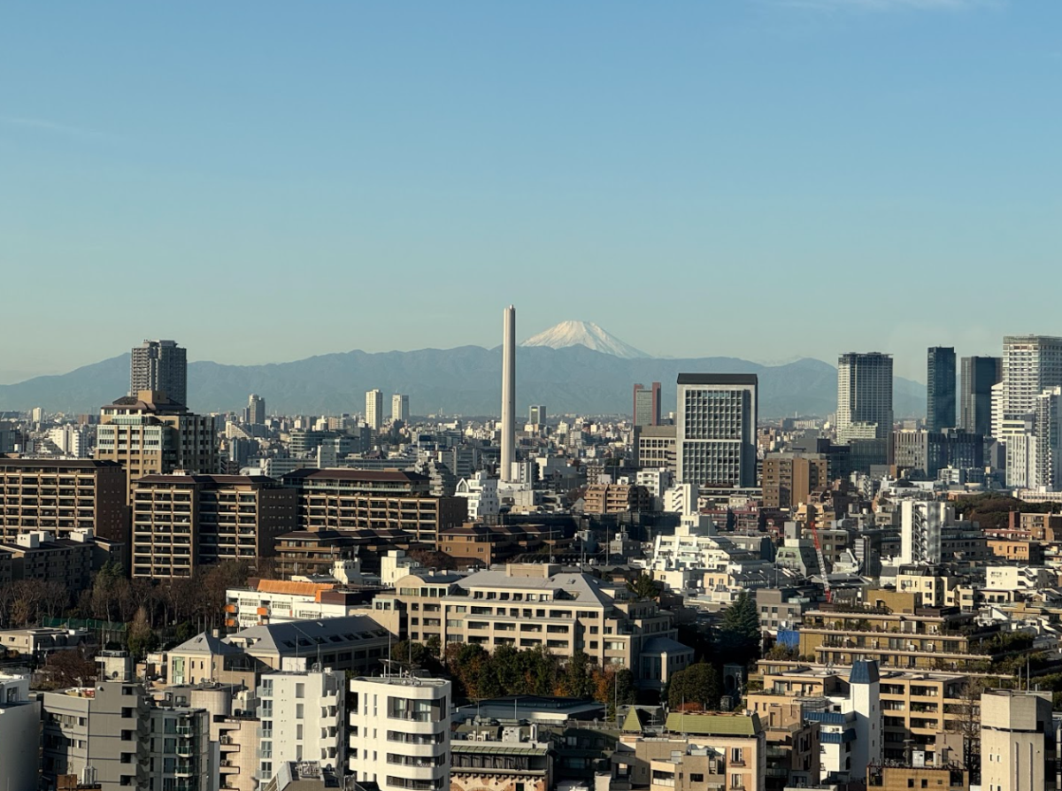 The 16th floor of my hotel room promised not only a view of the city, but of Mt. Fuji as well.