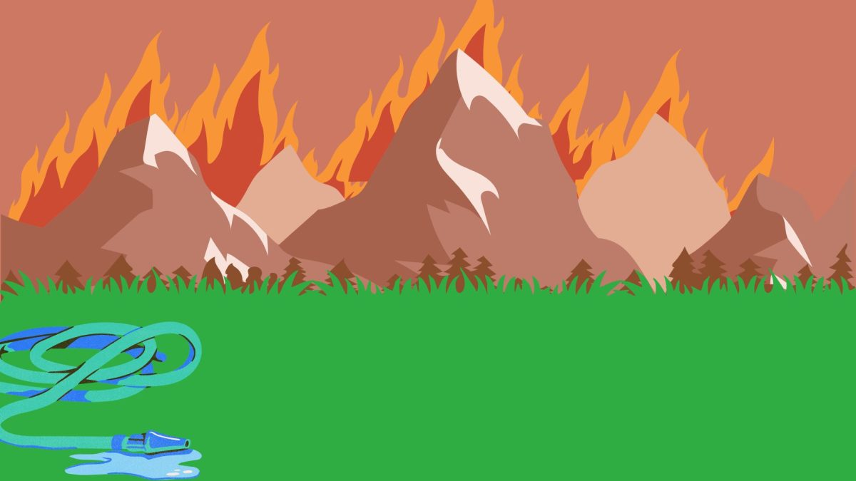 We Must Take Action to Prevent Fires