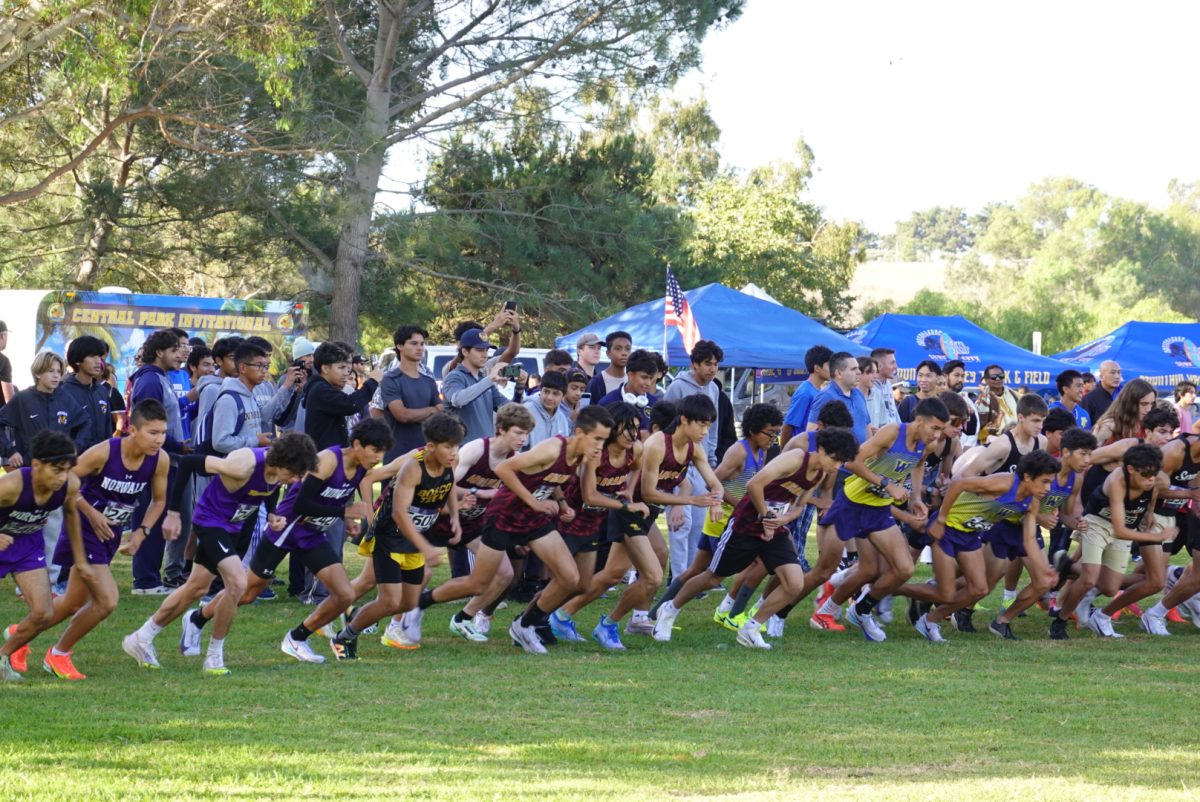 Cross Country Competes in Central Park Invitational
