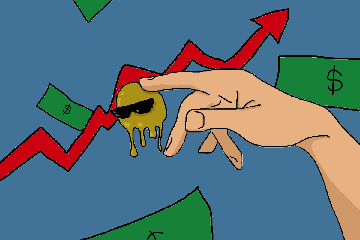 (Annika Sham) How are Meme-Coins a Scam FINAL
