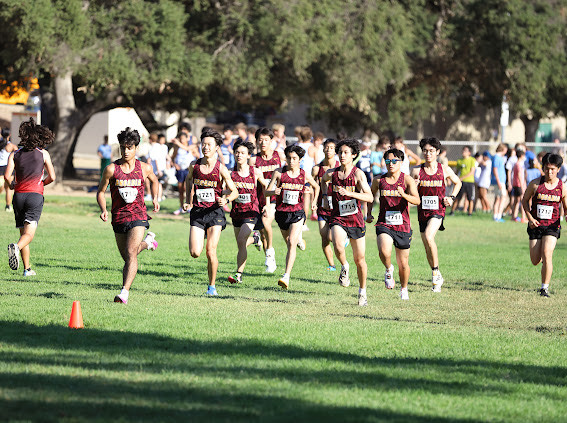 Thank You, Cross Country Team
