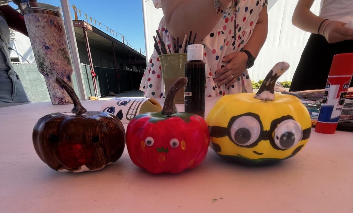Brief: Wellness Committee Hosts Pumpkin Painting in the Rally Court