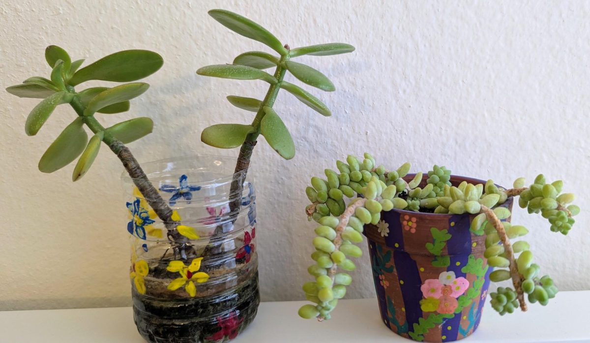 Thank You, Houseplants