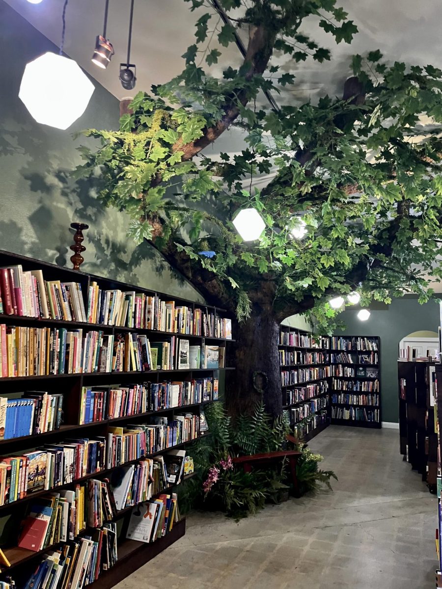 A bookstore tucked away in the corner of Sierra Madre is home to shelves of nostalgic books and  a tree as its protector.