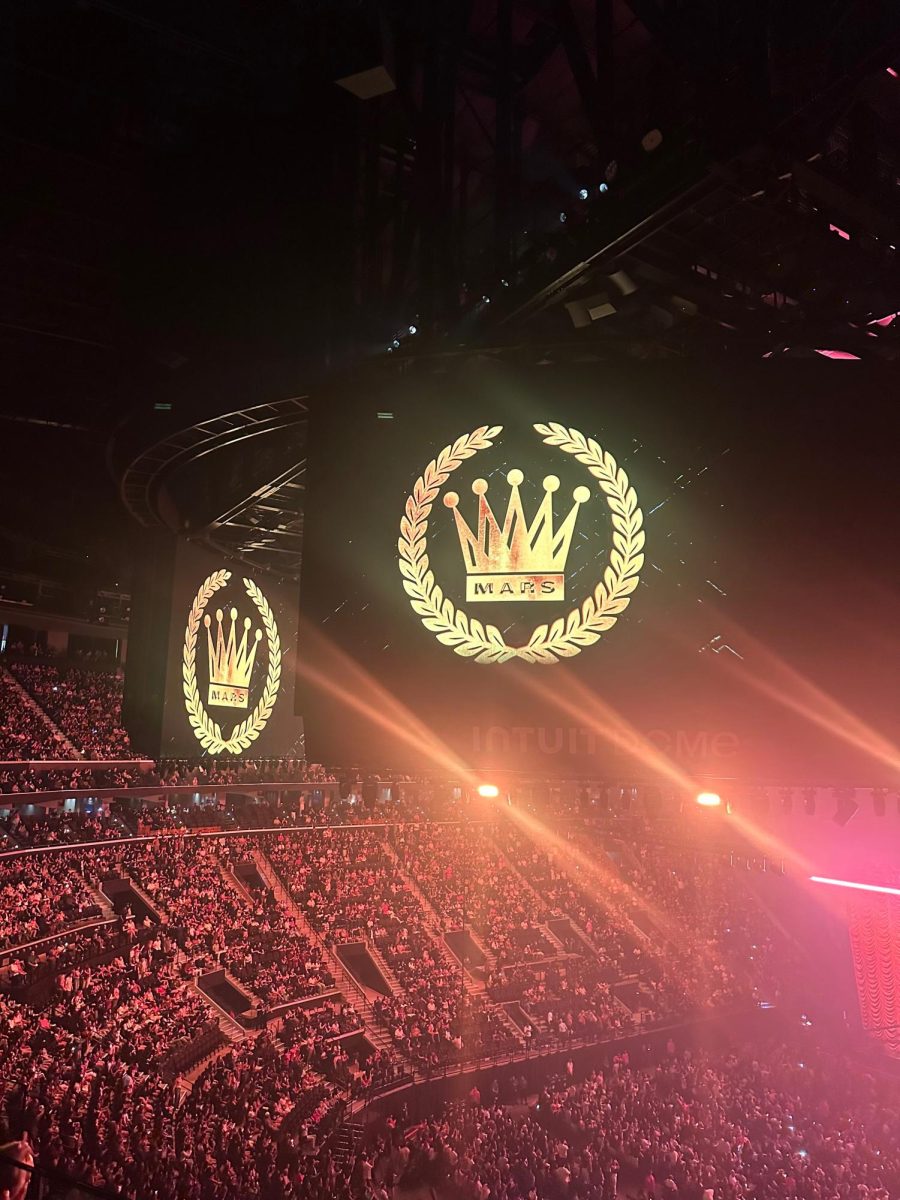 The crowd at a Bruno Mars concert.