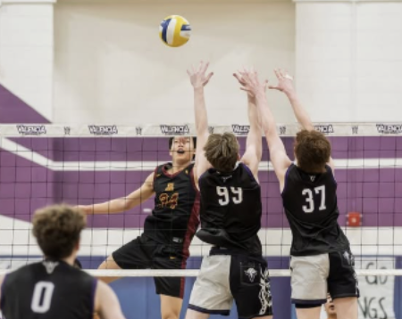 Arcadia Boys Varsity Volleyball Triumphs Over Valencia