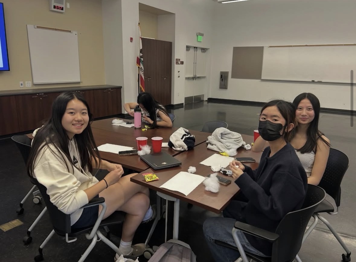 Students Volunteer at NAP's Art for Mind and Paws